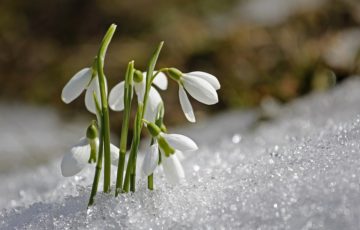 V DSJ jsme vítali jaro